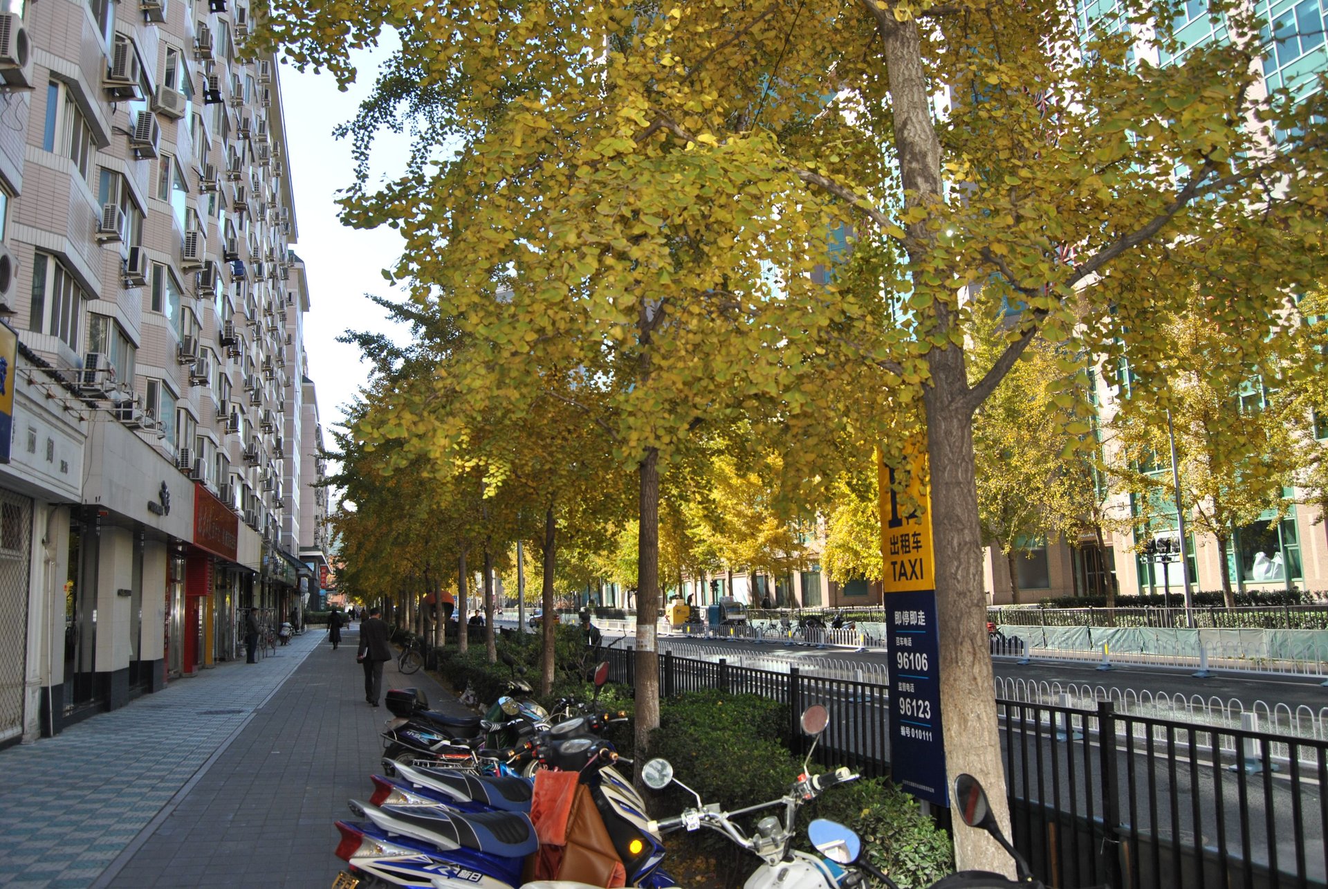 东直门南大街 environment