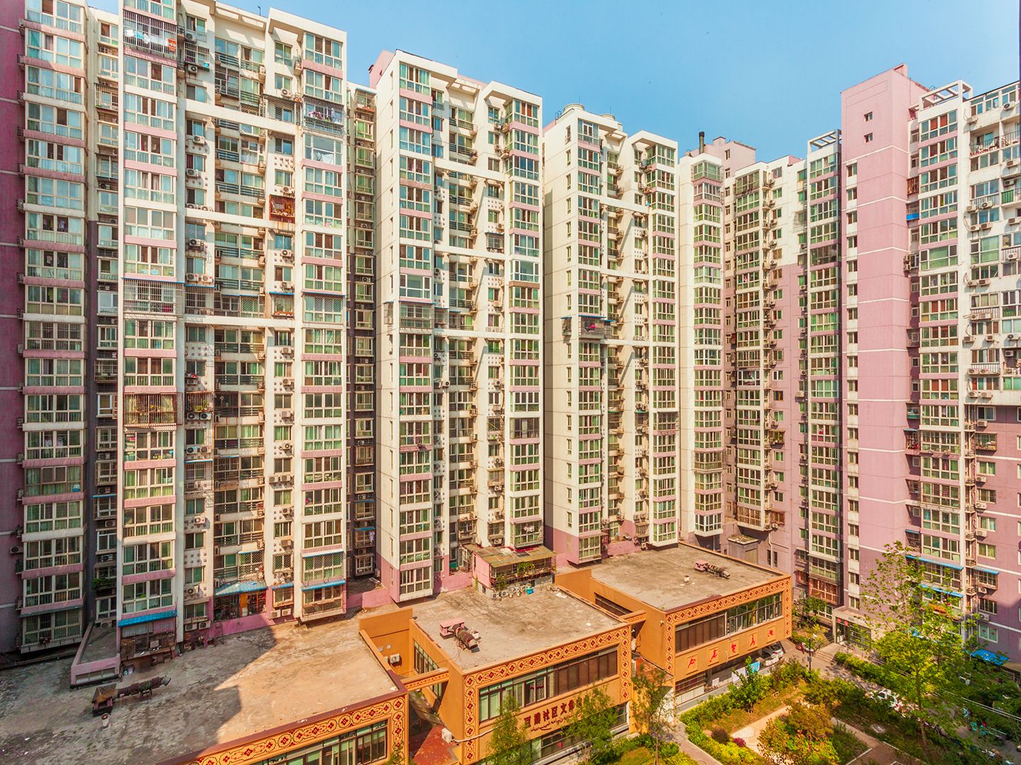 豆瓣胡同 environment