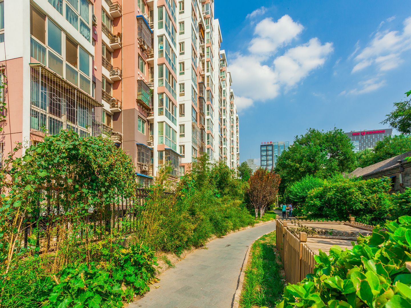 豆瓣胡同 environment