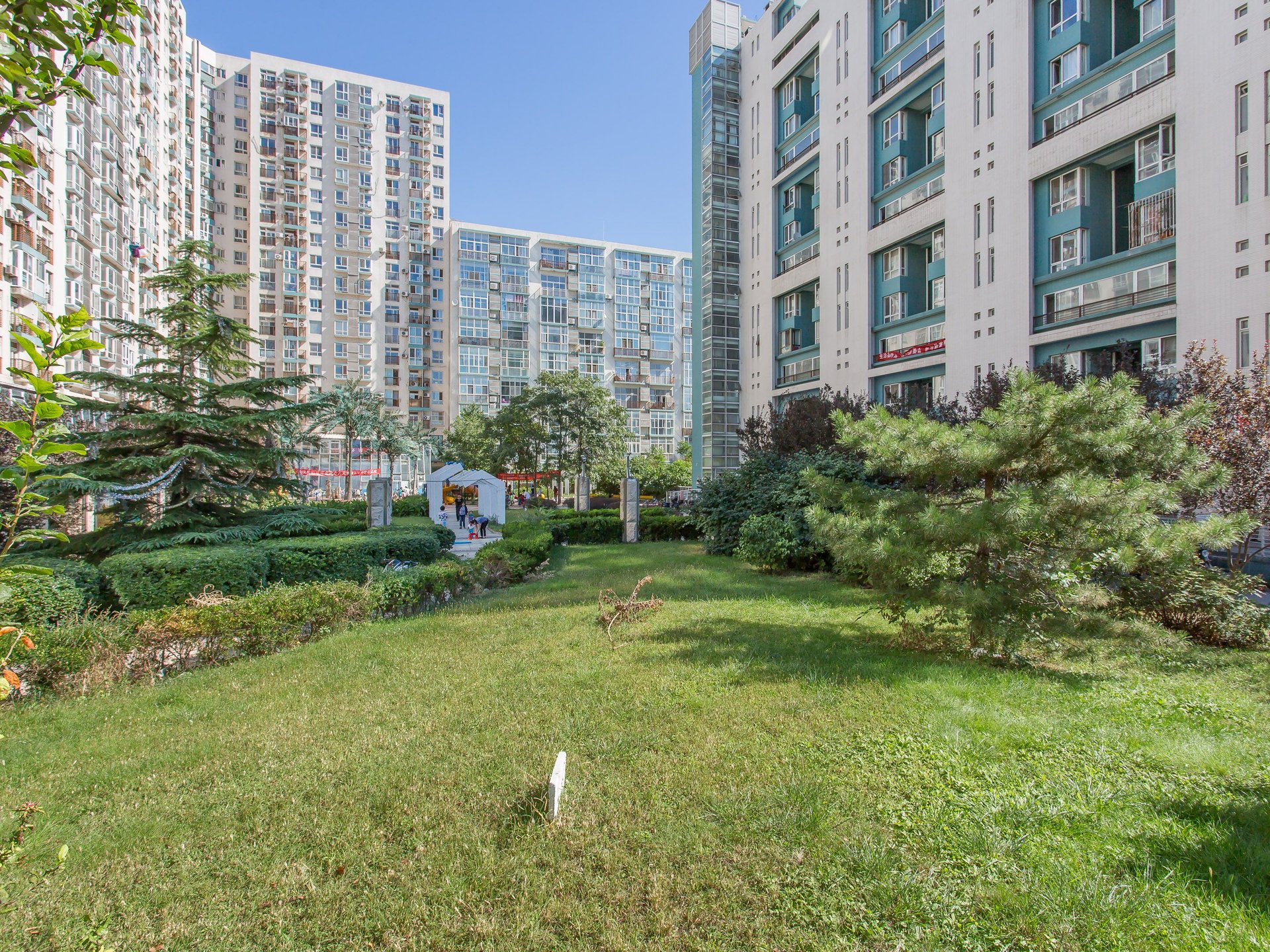 都市心海岸 environment