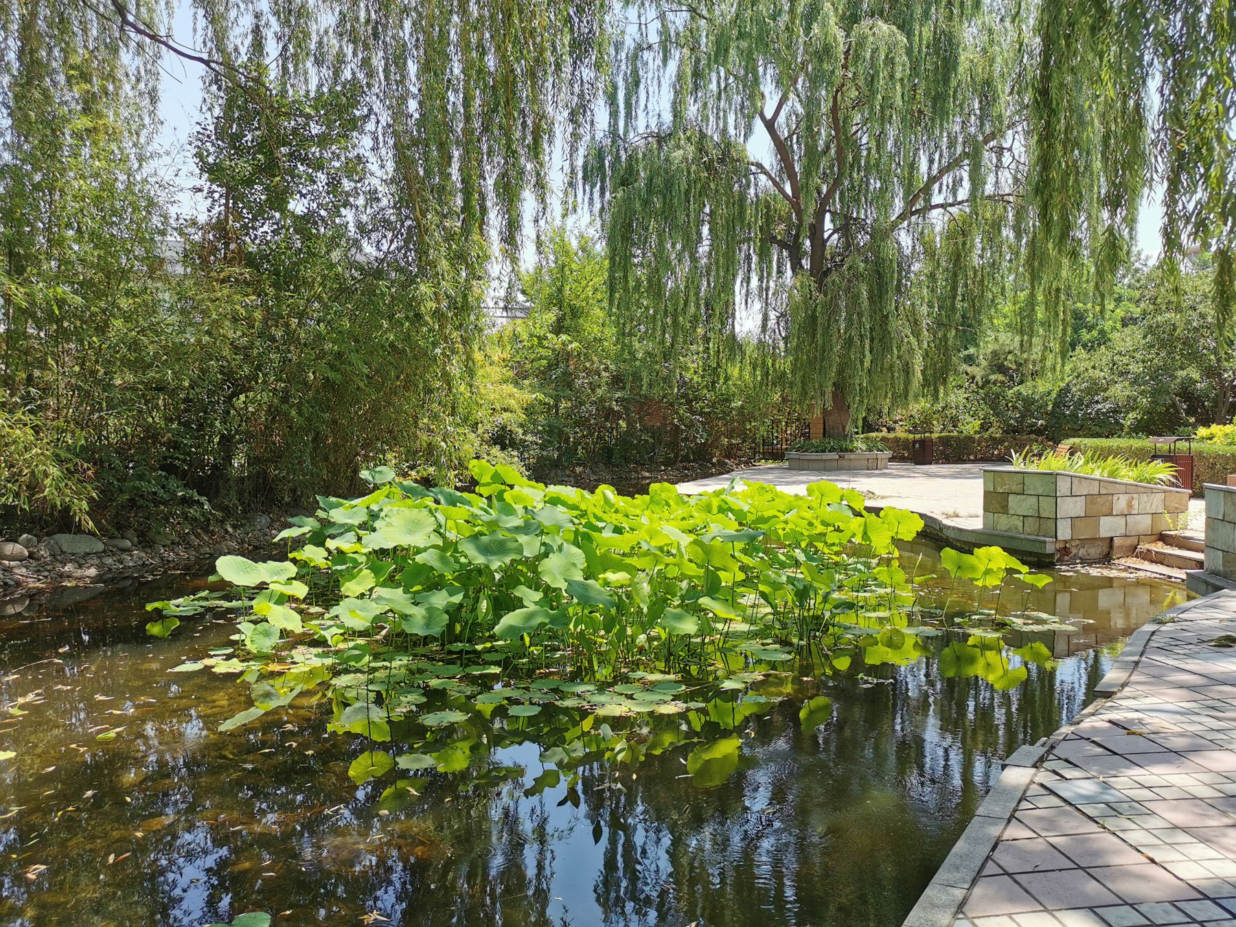 独墅逸致 environment