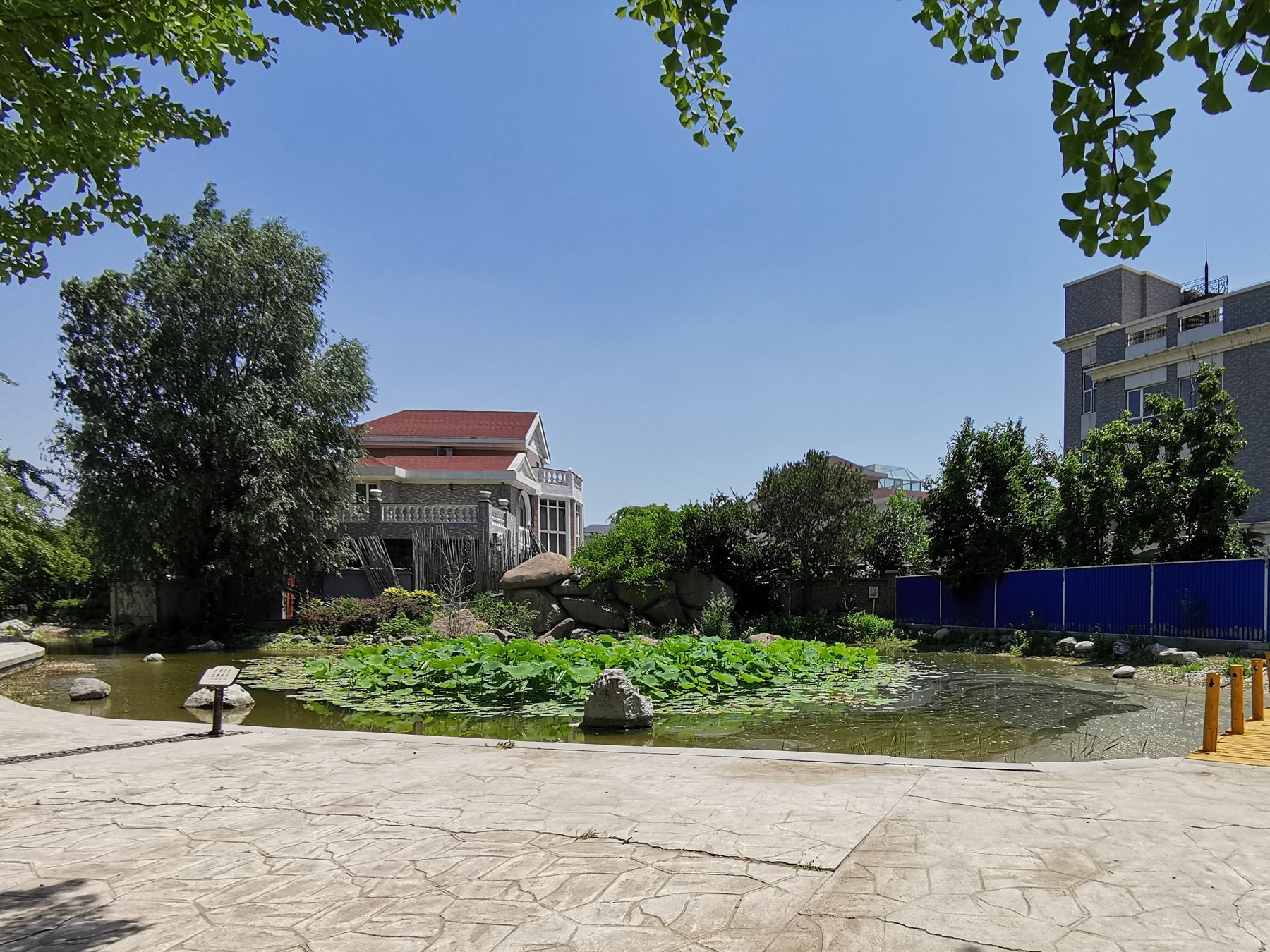 独墅逸致 environment