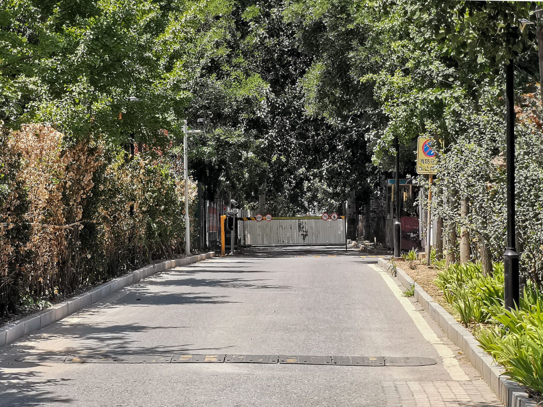 独墅逸致 environment