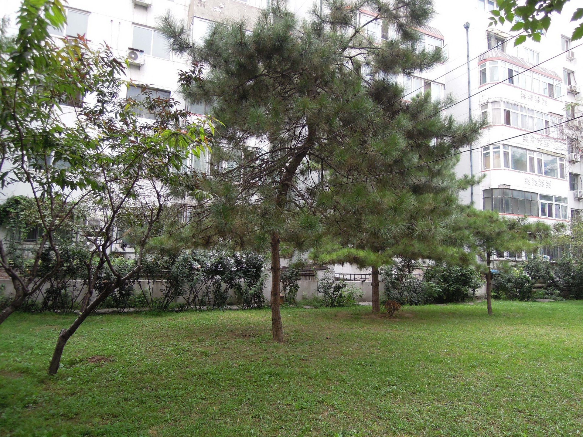 法华南里 environment