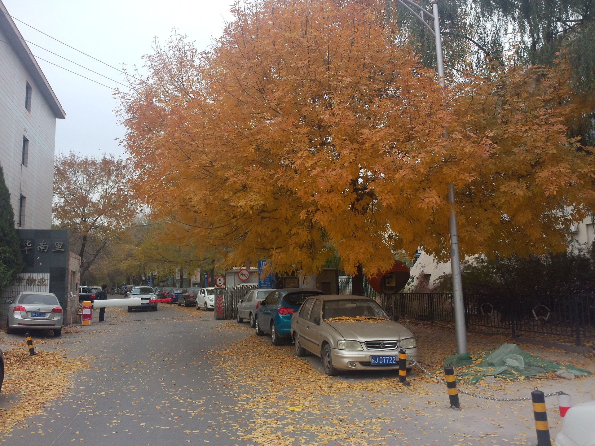 法华南里 environment