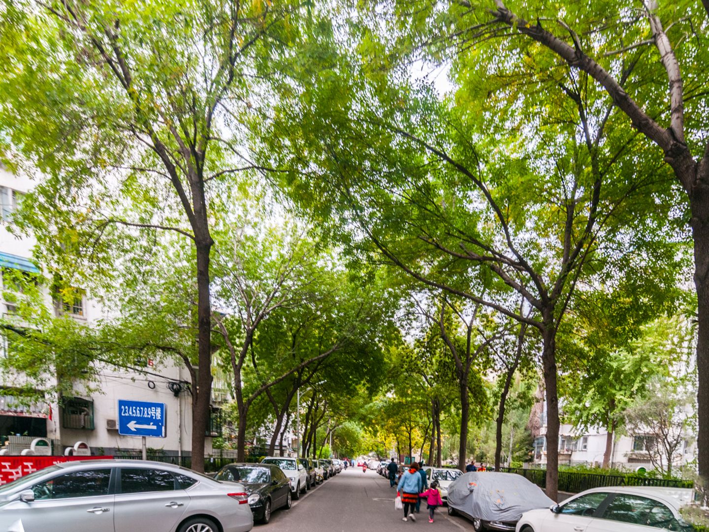 法华南里 environment