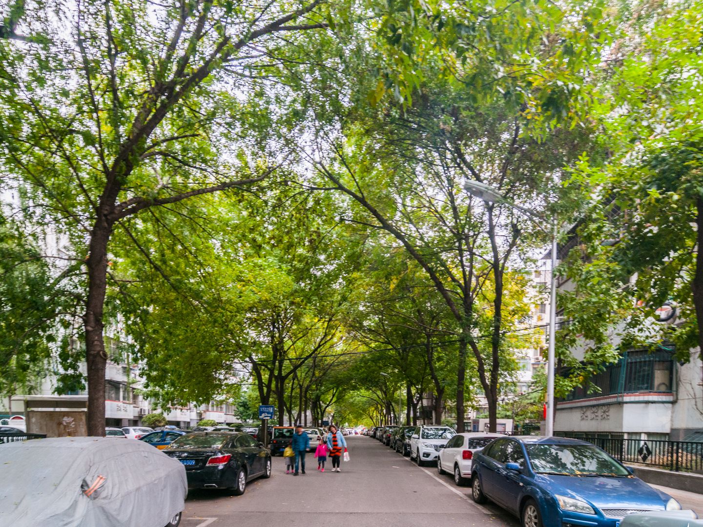 法华南里 environment