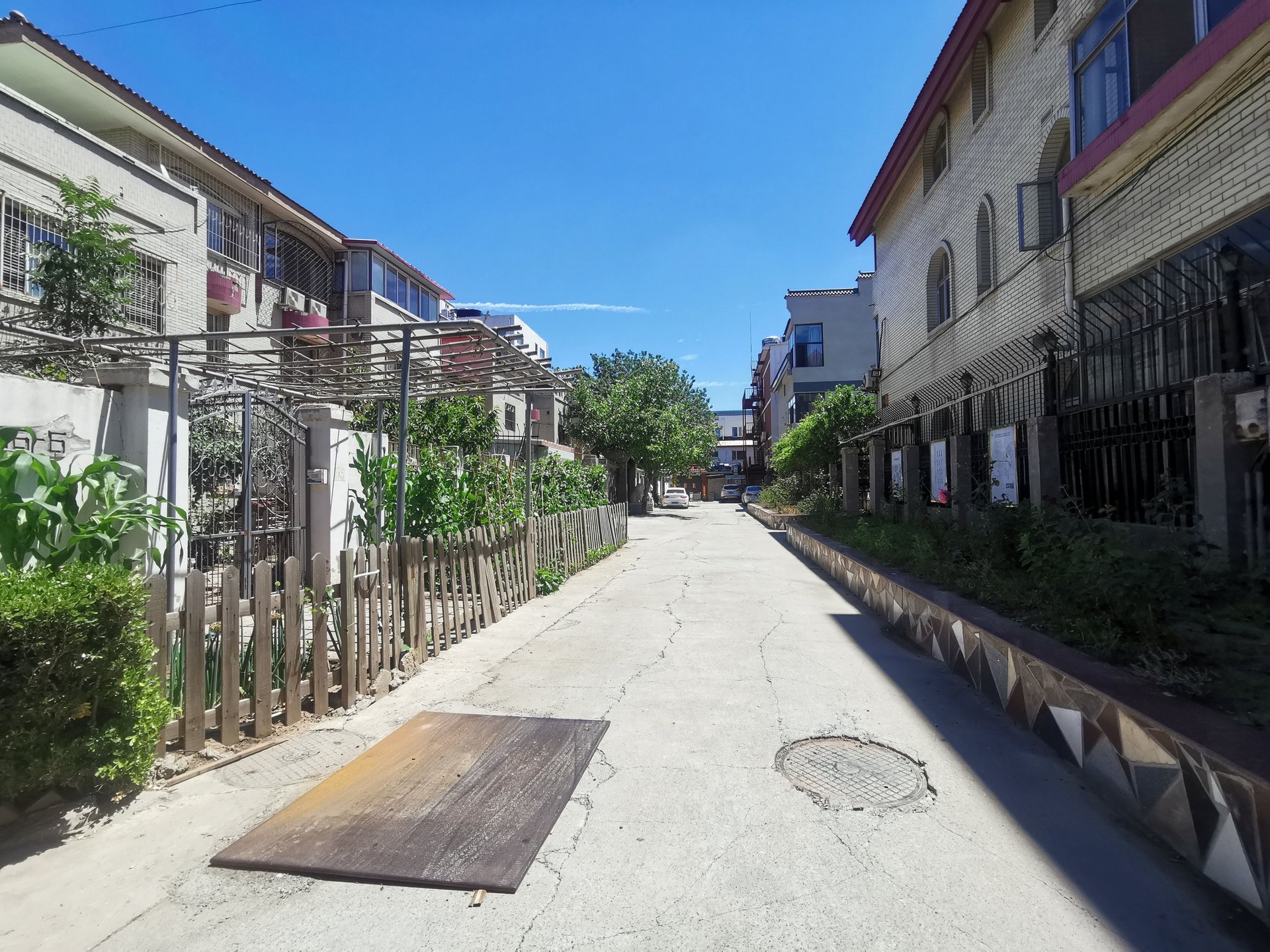 芳草园别墅 environment