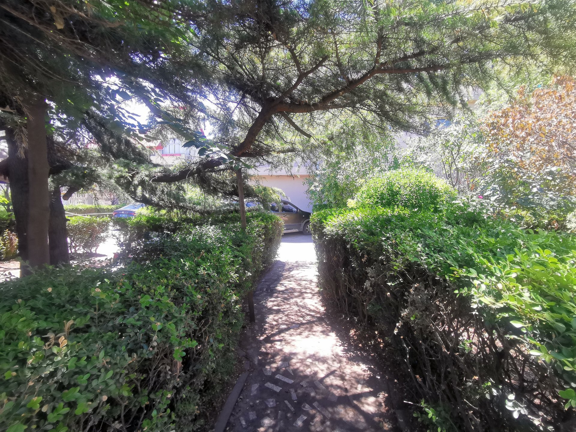 芳草园别墅 environment