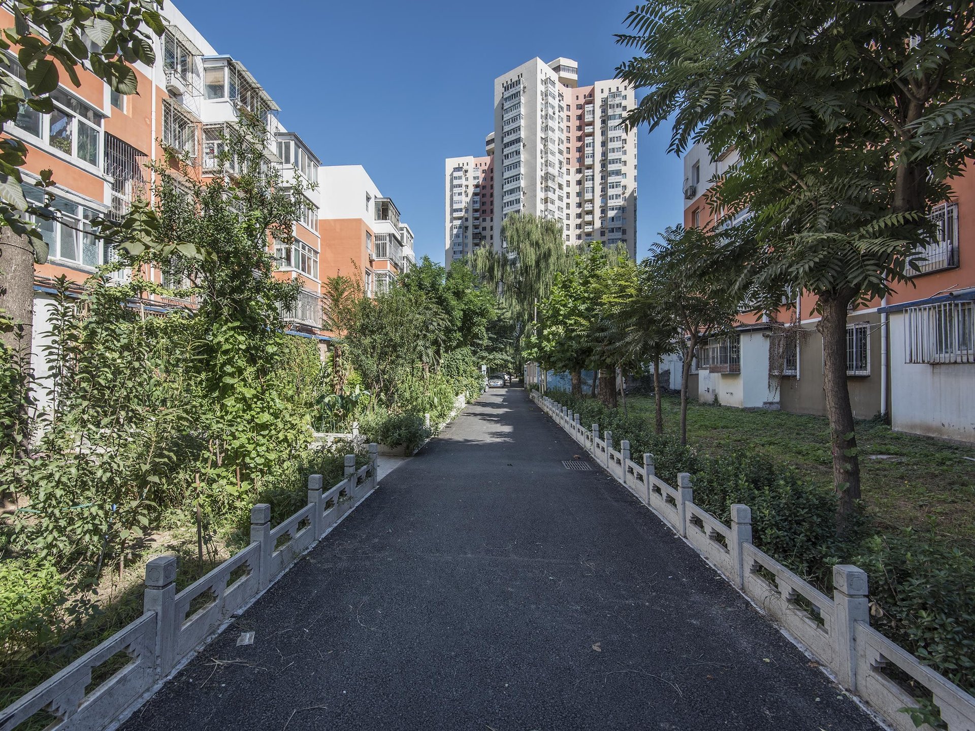 芳群园一区 environment