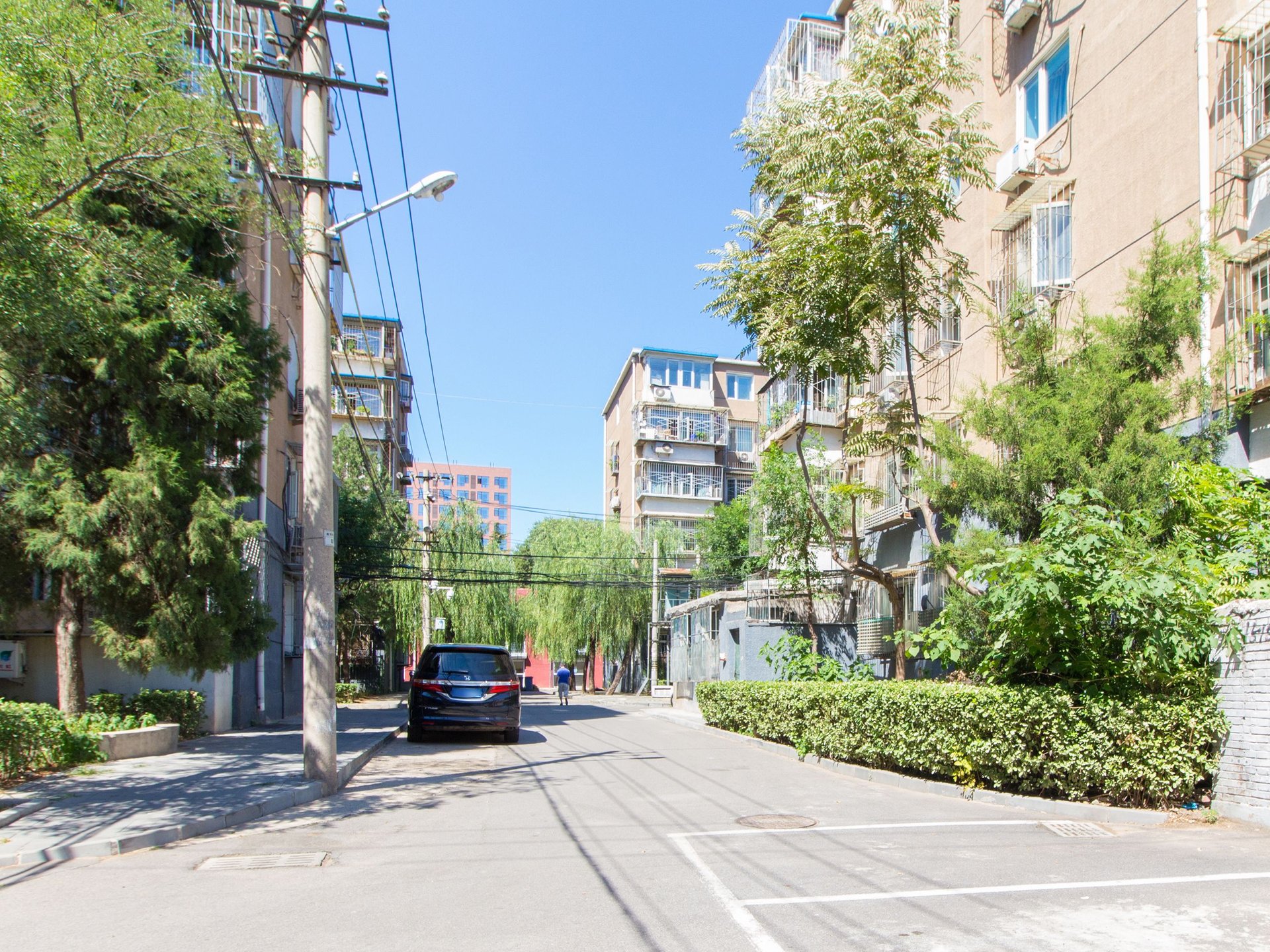 芳园里 environment