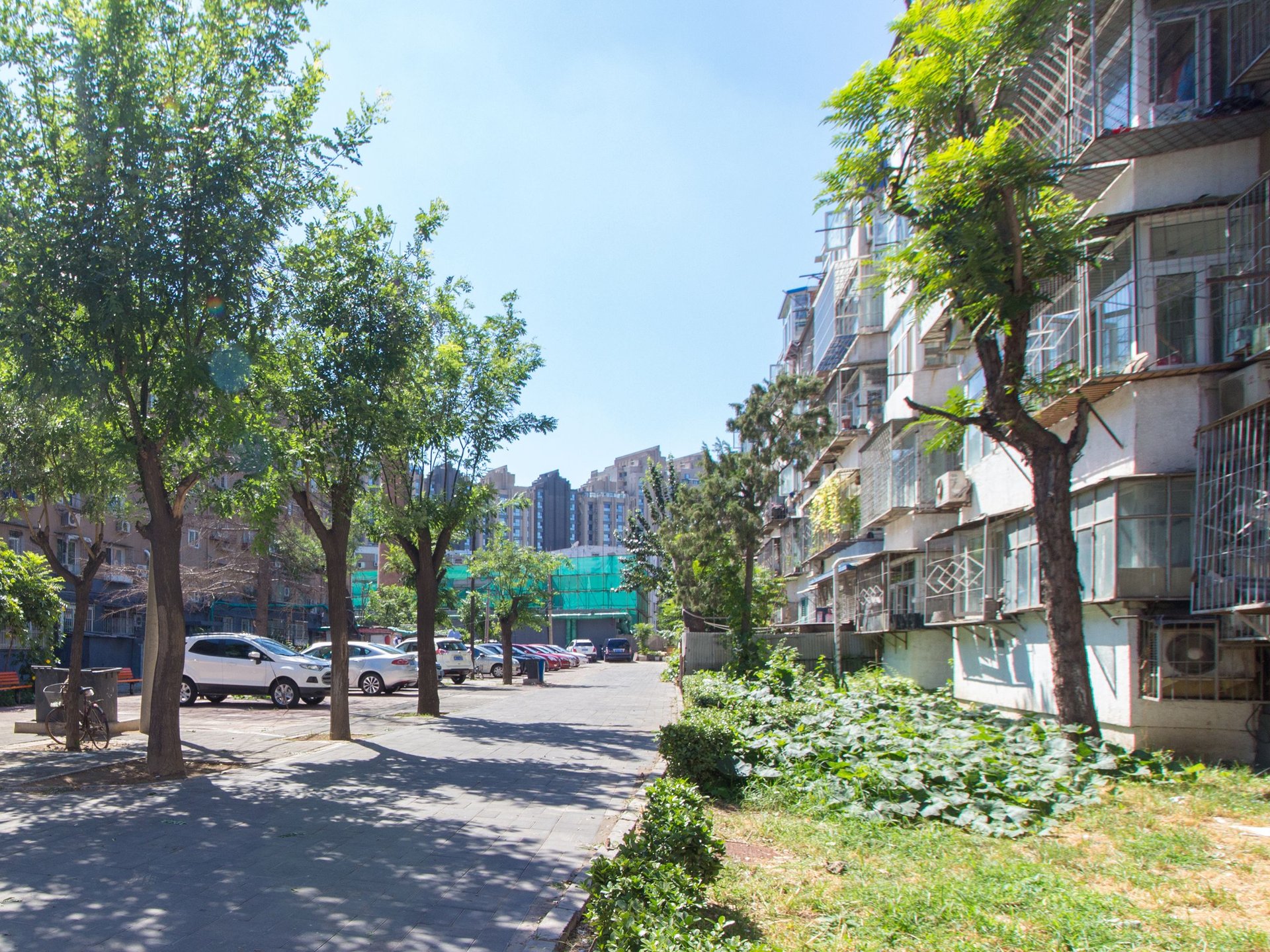 芳园里 environment