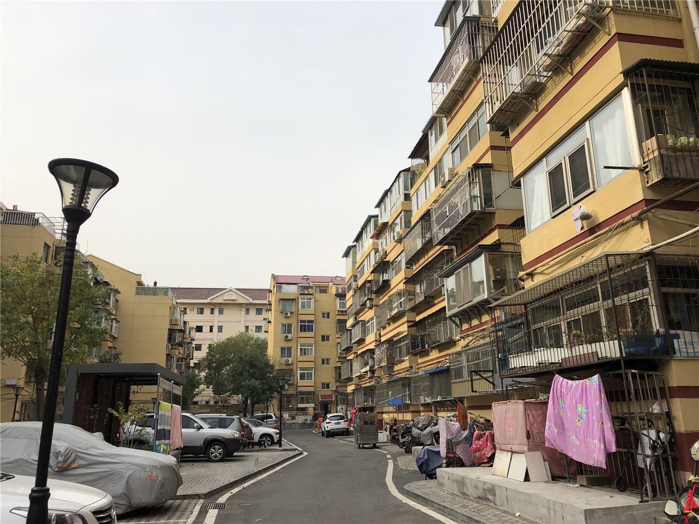 芳园南里西区 environment