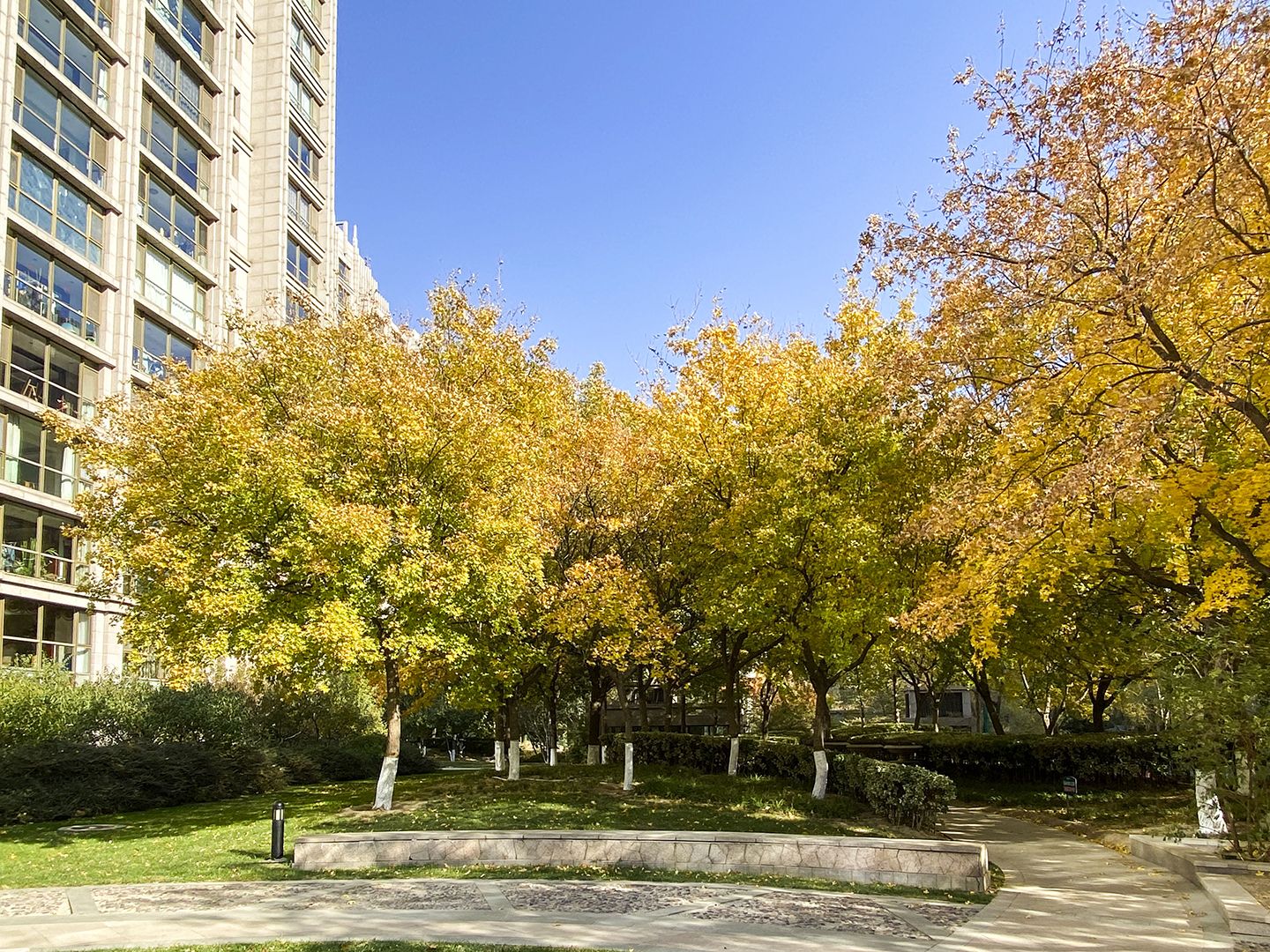 泛海国际碧海园 environment