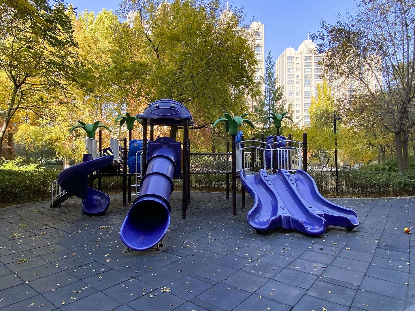 泛海国际碧海园 environment