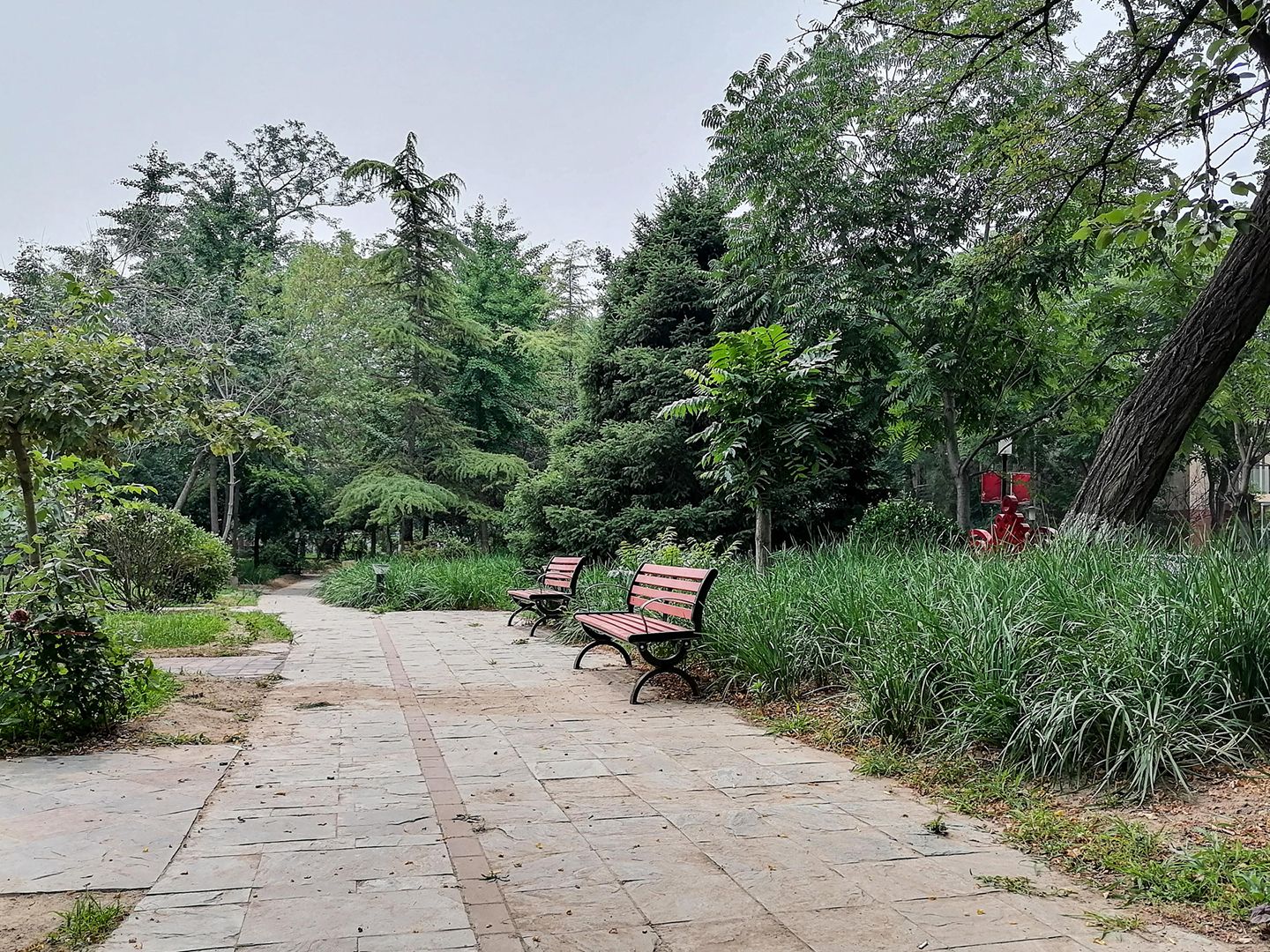 翡翠城二期 environment