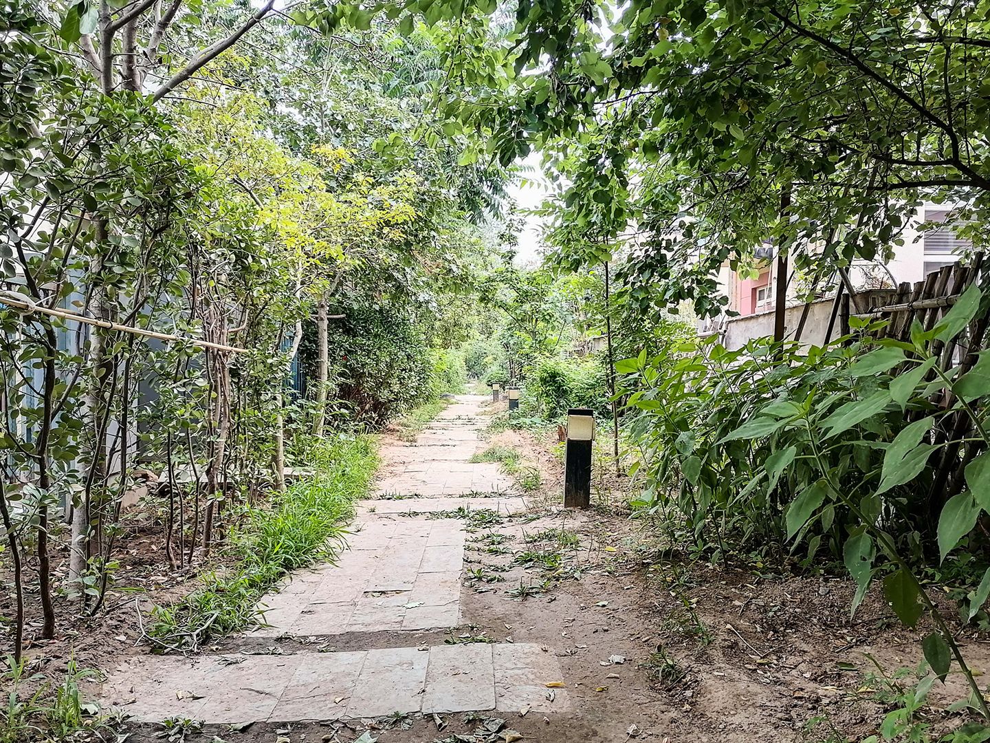 翡翠城二期 environment