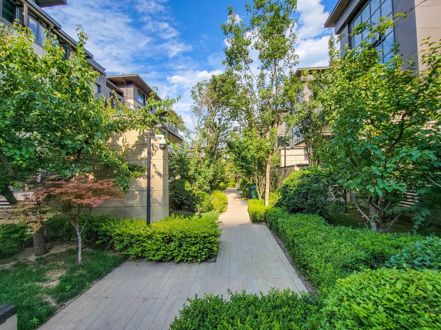 翡翠四季A区 environment