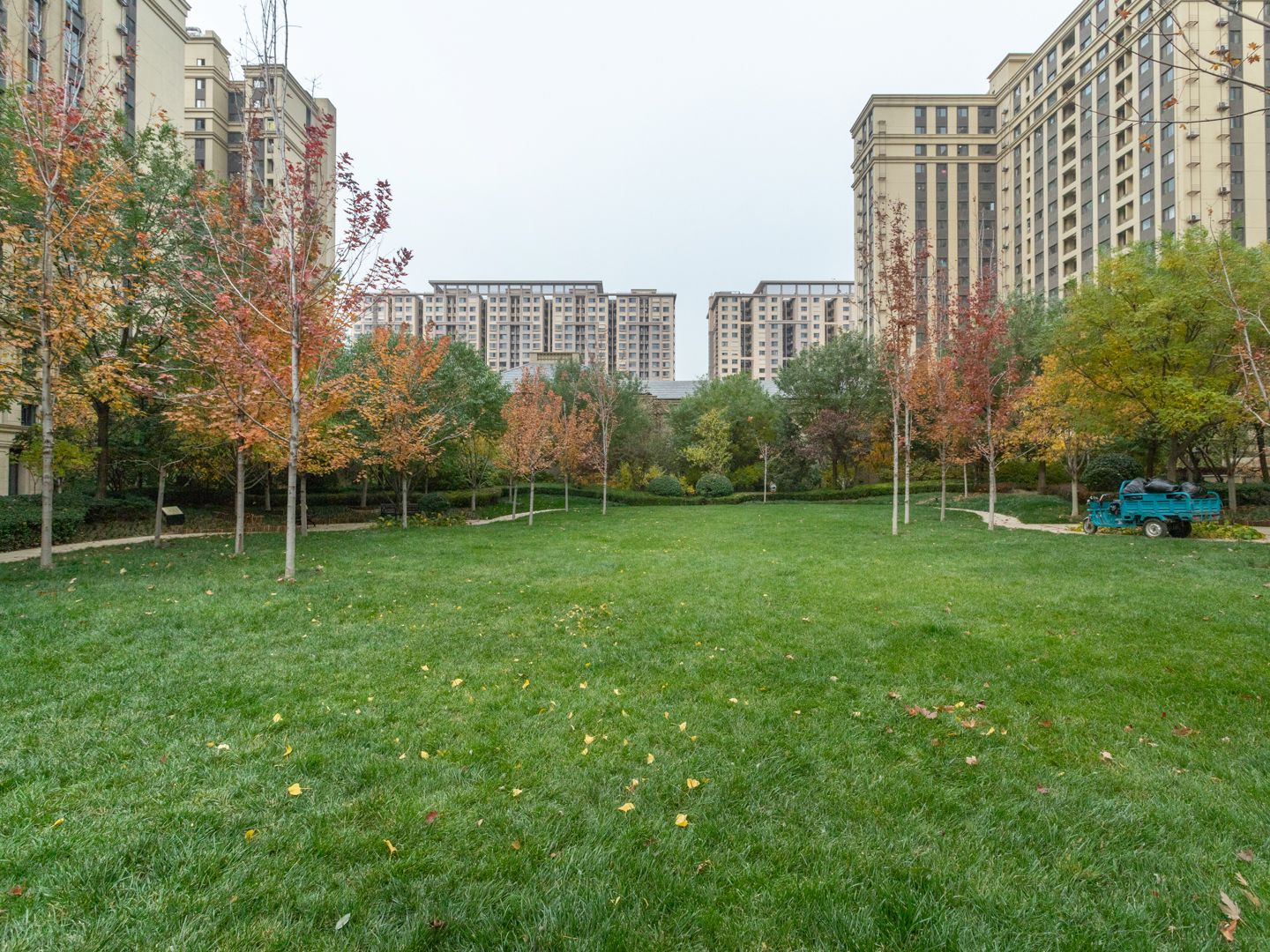 枫丹壹号 environment