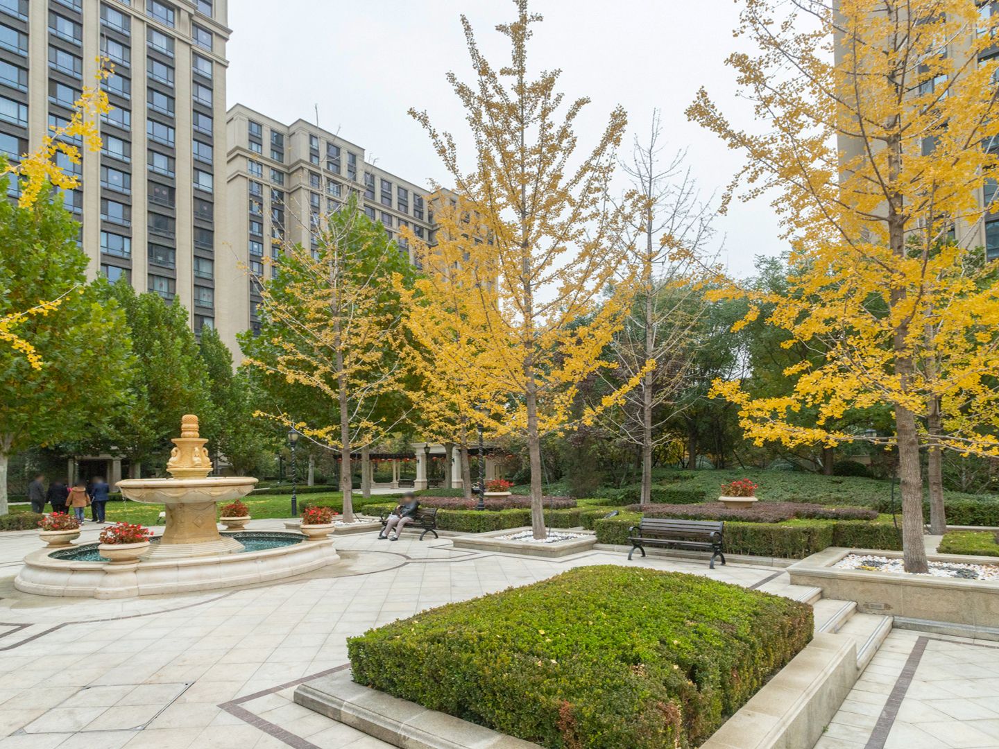 枫丹壹号 environment