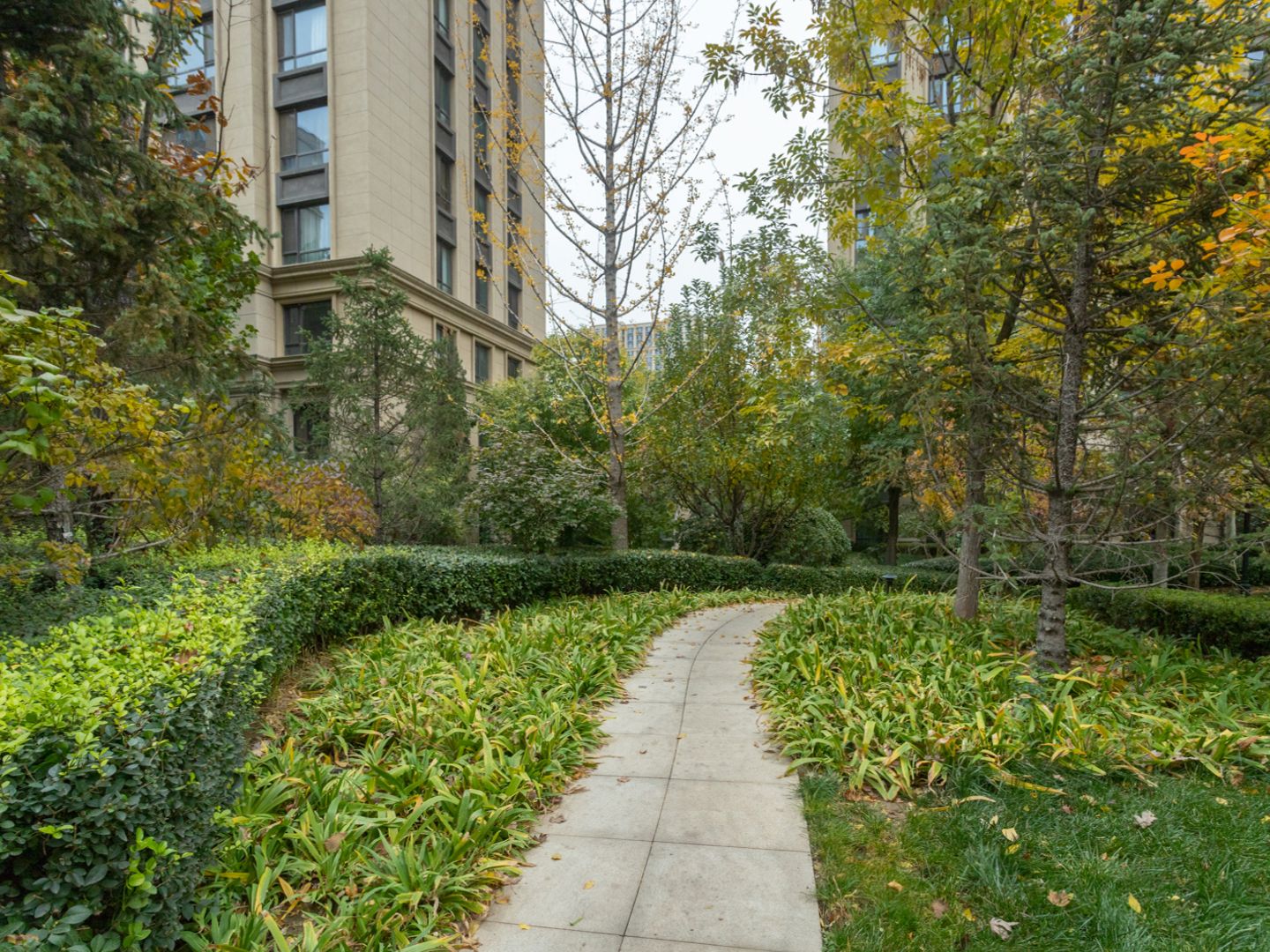 枫丹壹号 environment