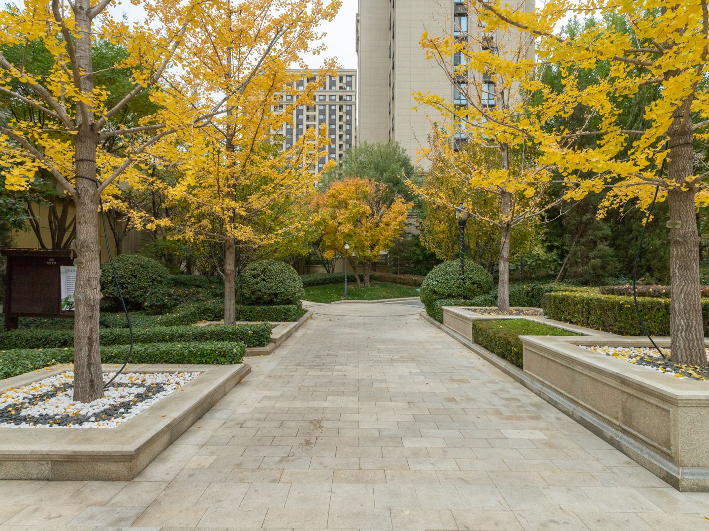 枫丹壹号 environment