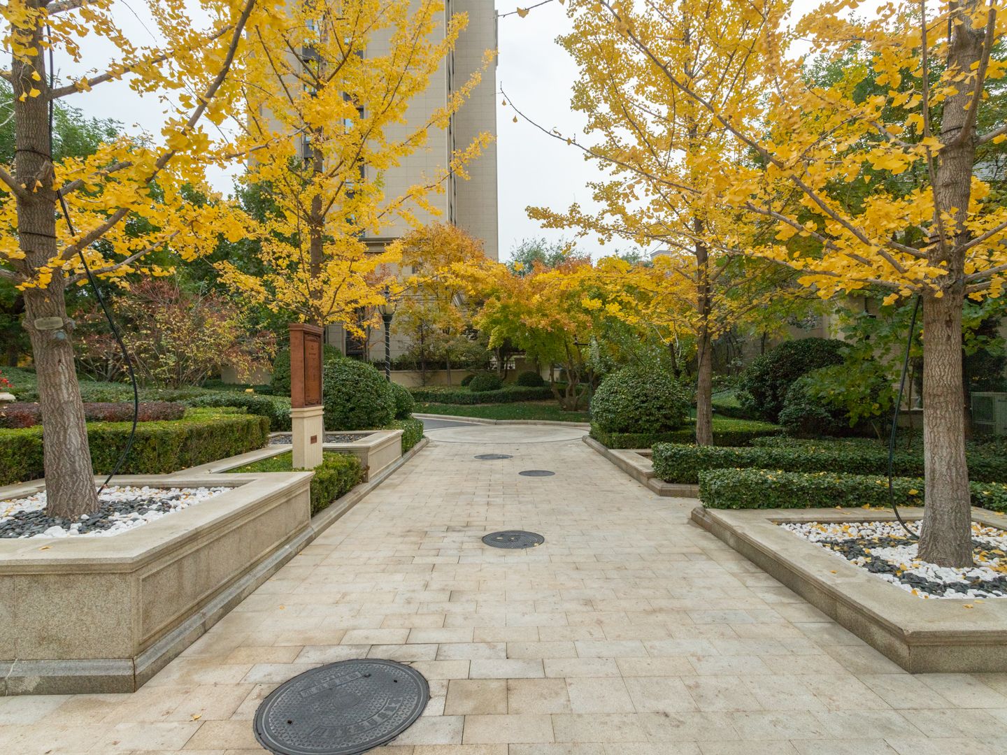 枫丹壹号 environment