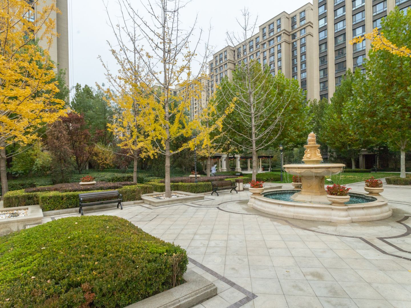 枫丹壹号 environment