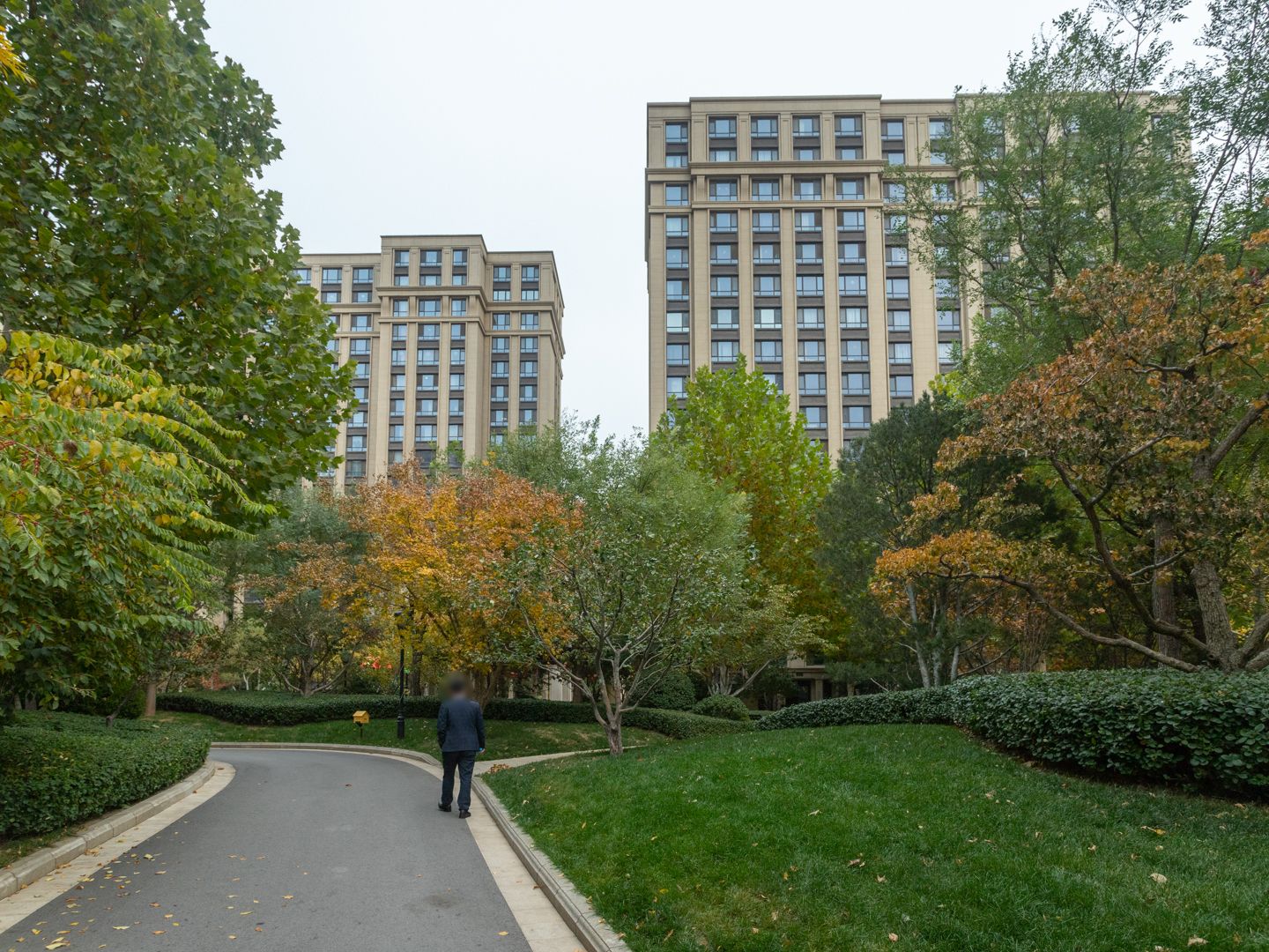 枫丹壹号 environment