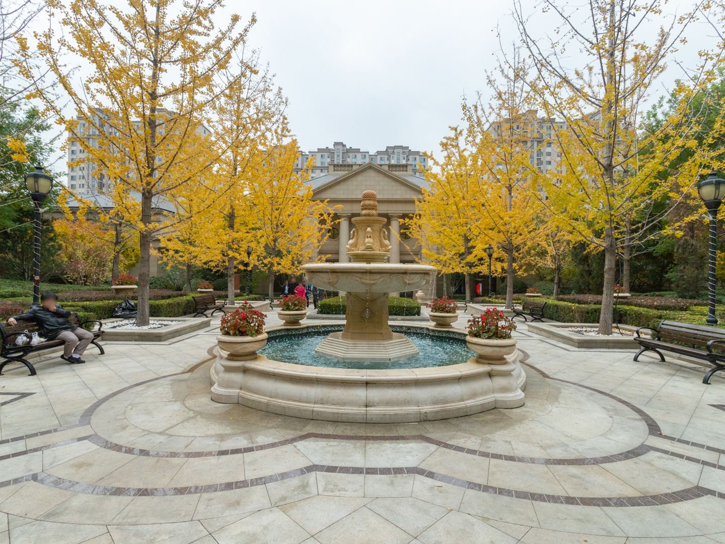 枫丹壹号 environment