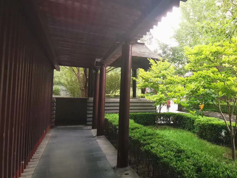 凤凰城三期 environment