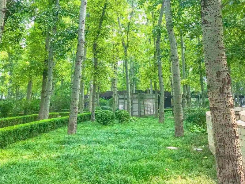 凤凰城三期 environment