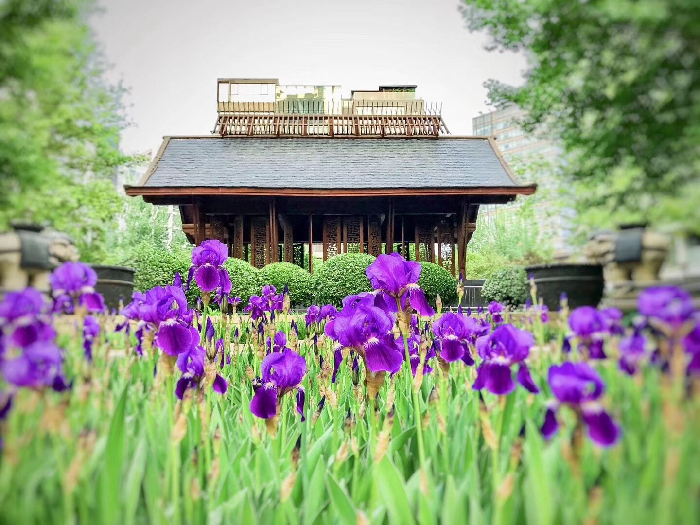 凤凰城三期 environment