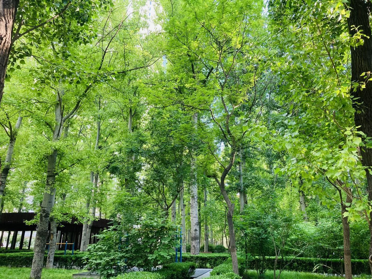 凤凰城三期 environment