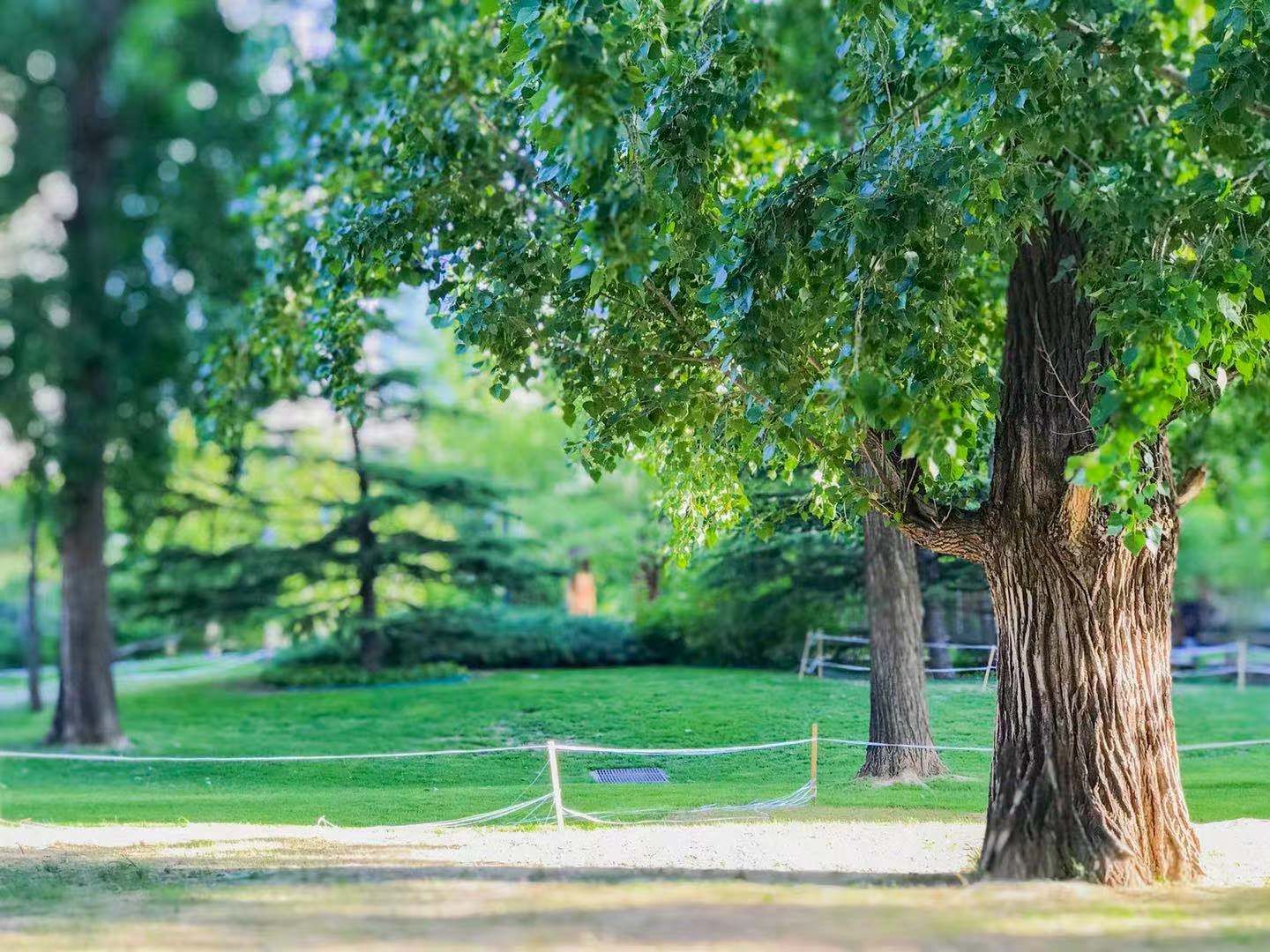凤凰城三期 environment