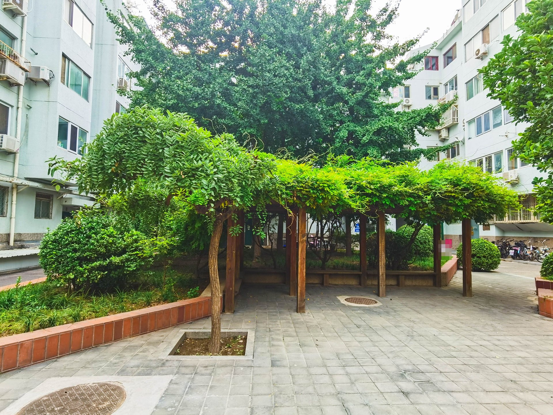 丰汇园小区 environment