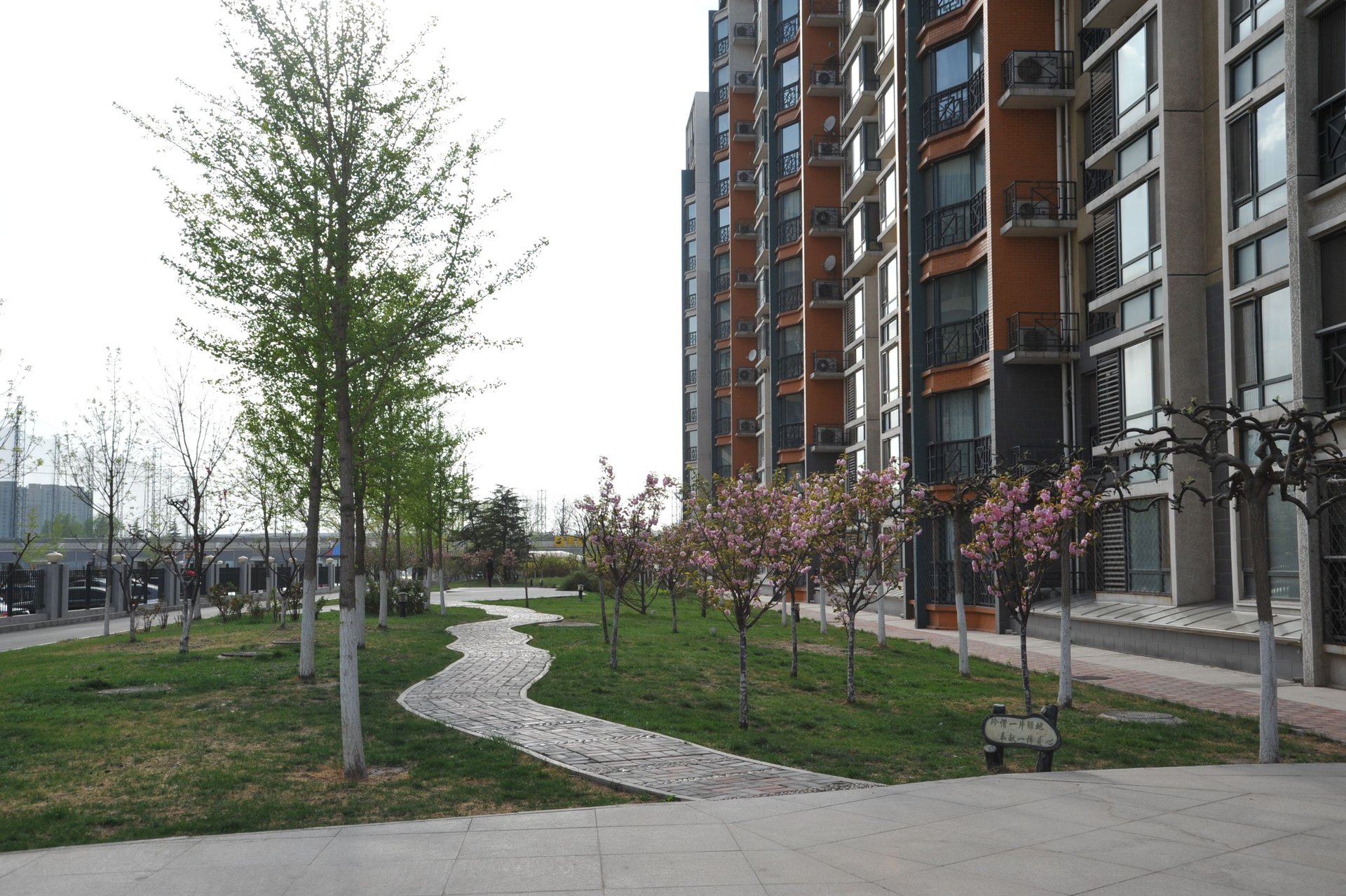 风景club environment