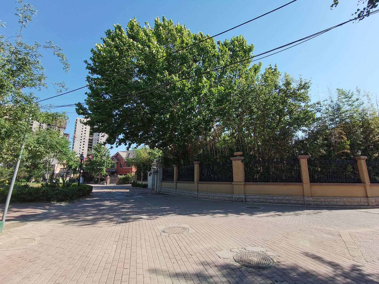 枫露皇苑 environment