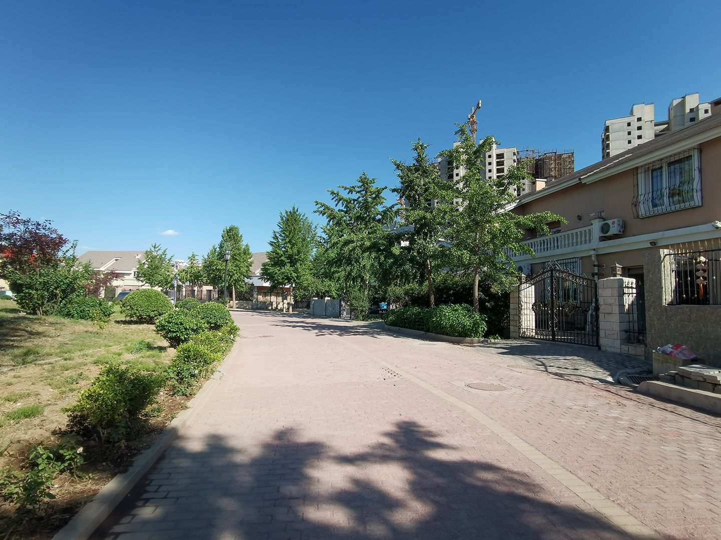 枫露皇苑 environment