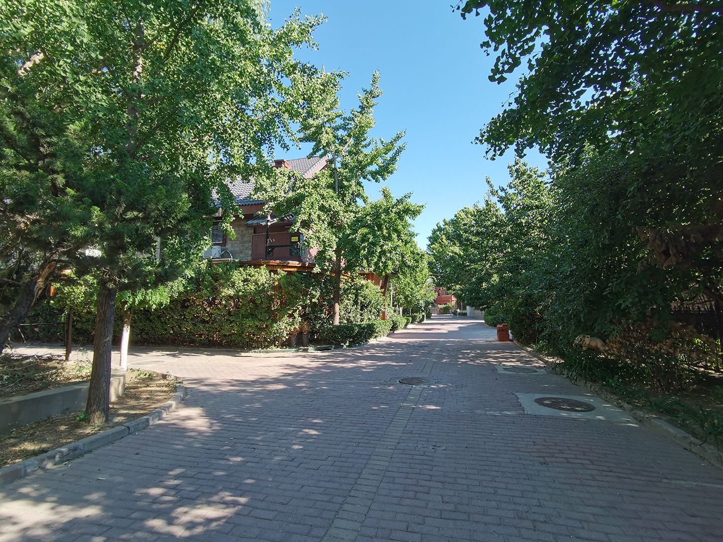 枫露皇苑 environment