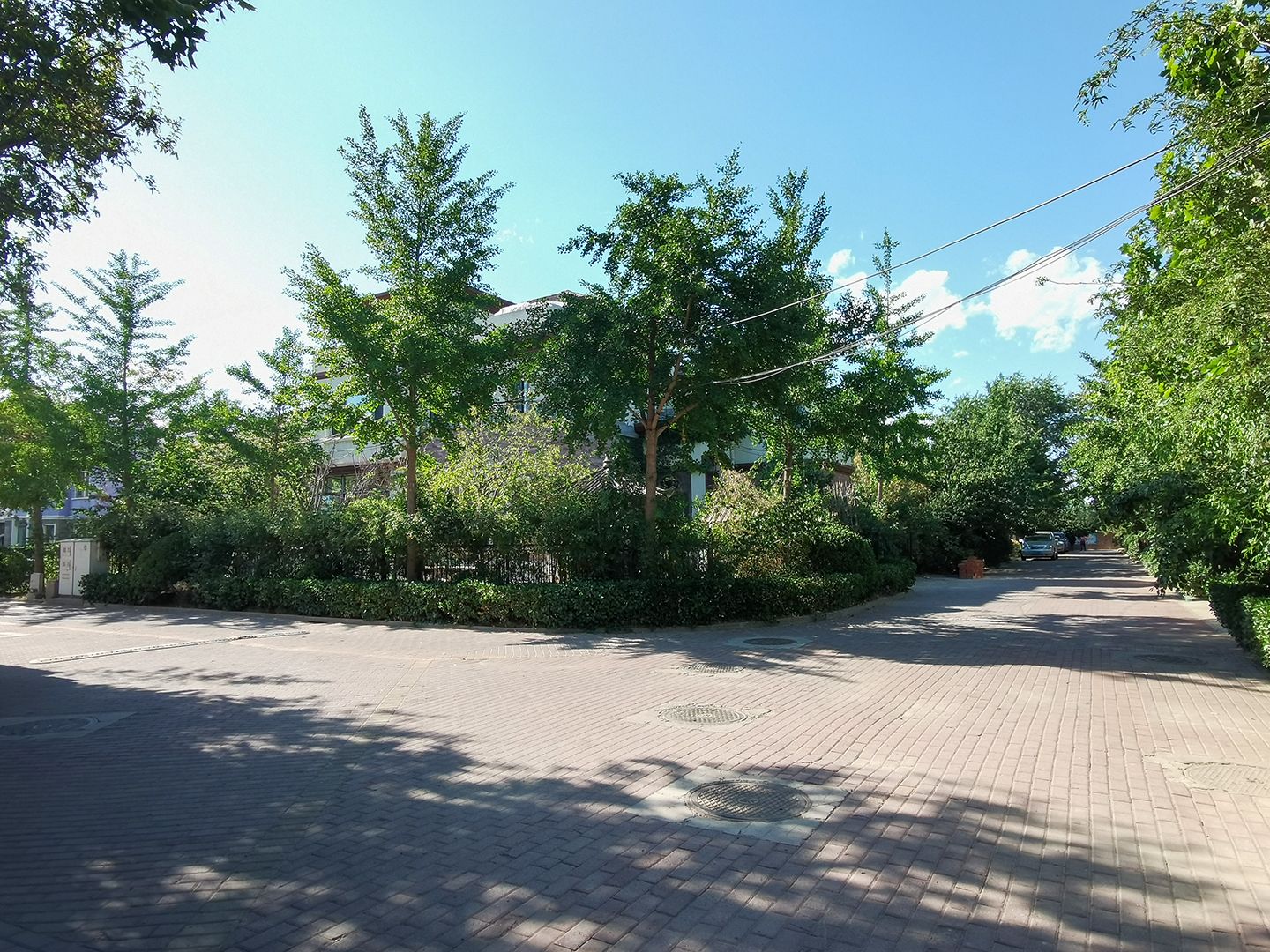 枫露皇苑 environment