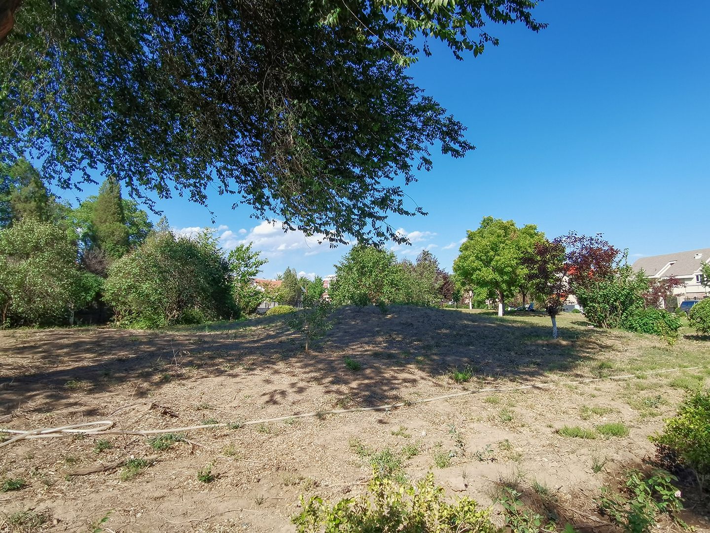 枫露皇苑 environment