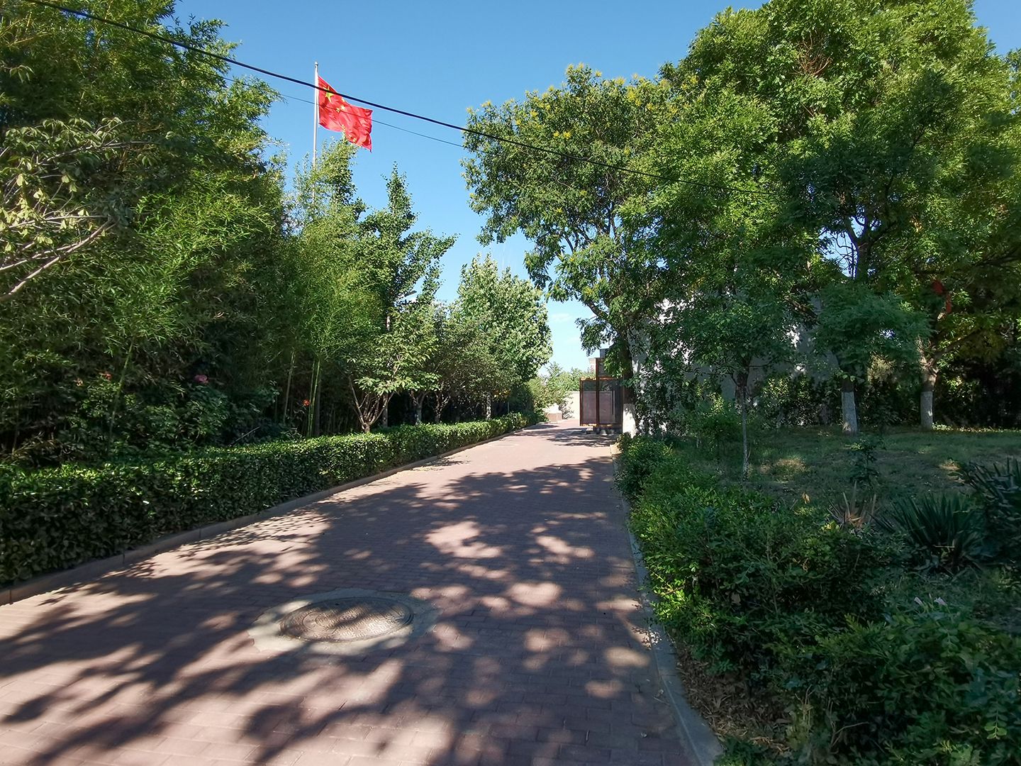 枫露皇苑 environment