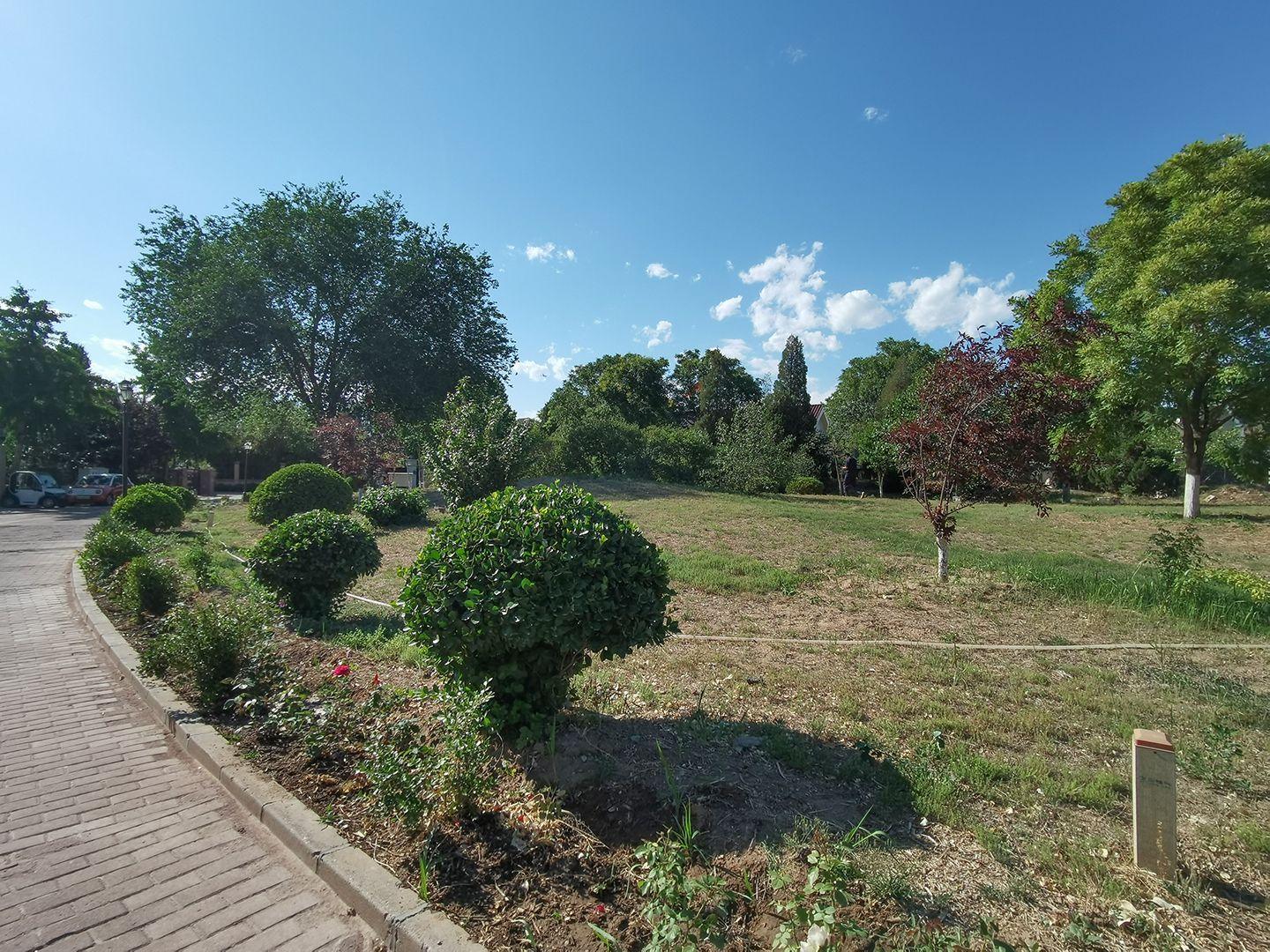 枫露皇苑 environment