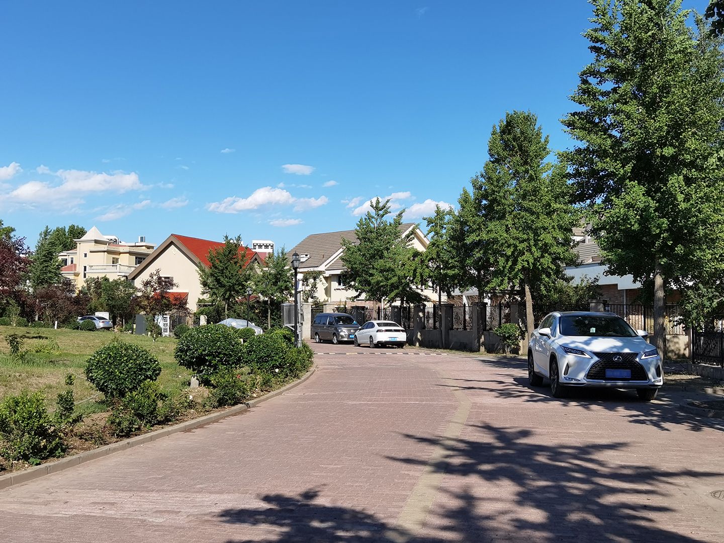 枫露皇苑 environment