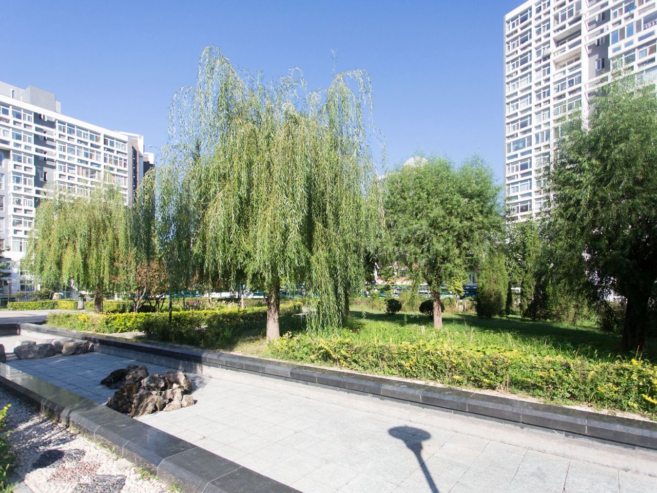 蜂鸟家园 environment