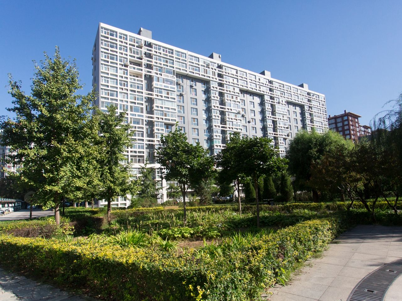 蜂鸟家园 environment