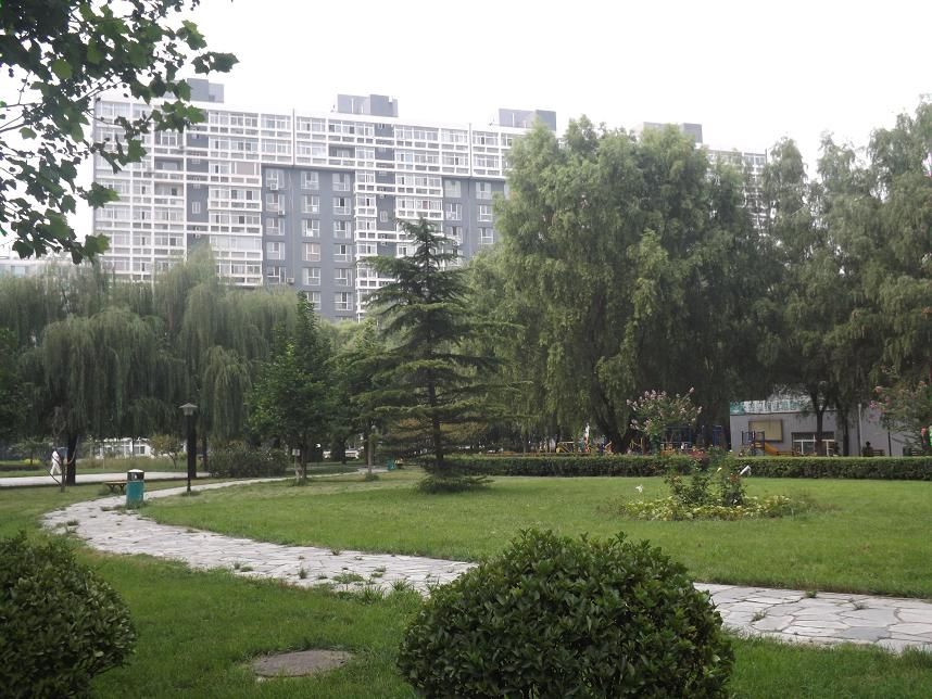 蜂鸟家园 environment