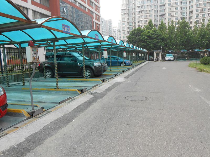 蜂鸟家园 environment