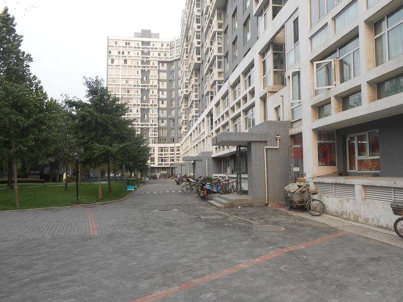 蜂鸟家园 environment